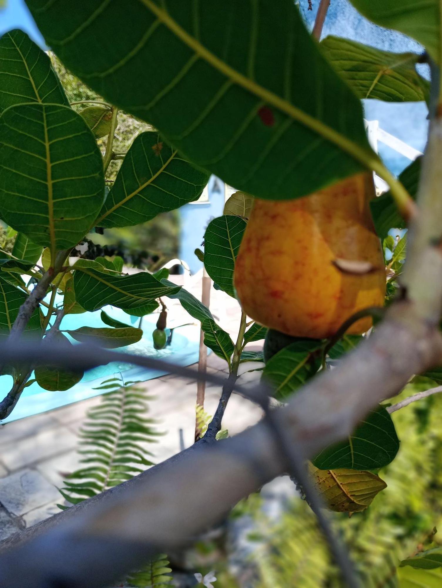 Chales Caicara Serrambi Pôrto das Galinhas Exterior foto